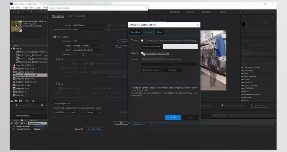 AfterCodecs AE vs. Exporting with Media Encoder - AfterCodecs Exporter Options Settings.