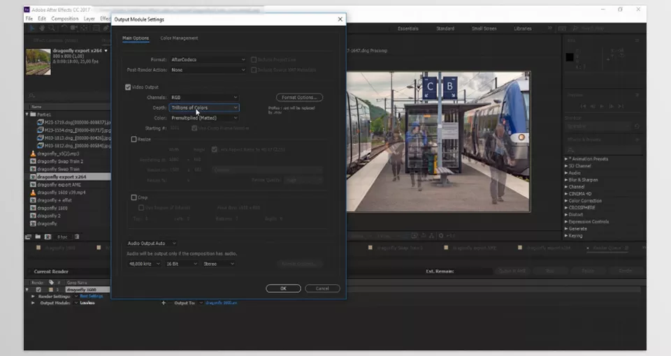 AfterCodecs AE vs. Exporting with Media Encoder - Output Module Settings.