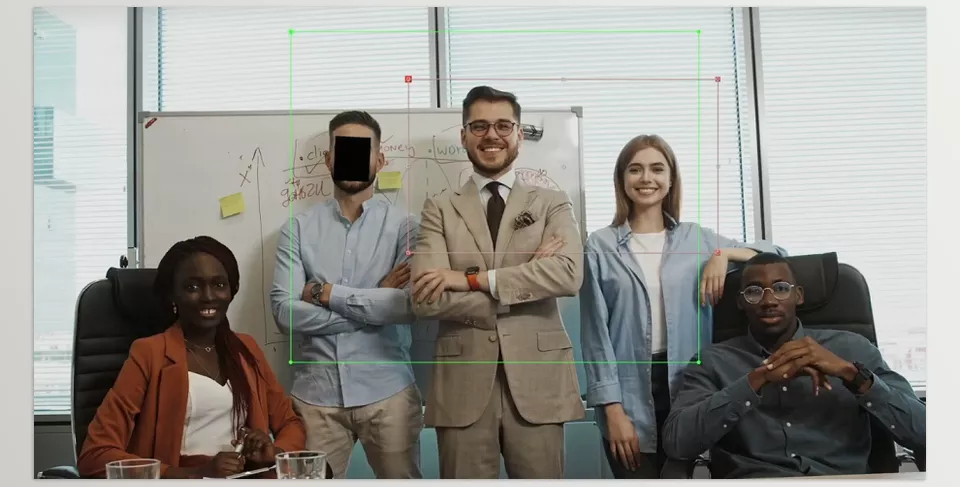 Blace AI Face Detection and Blurring - Control over detection areas and excluding of detections