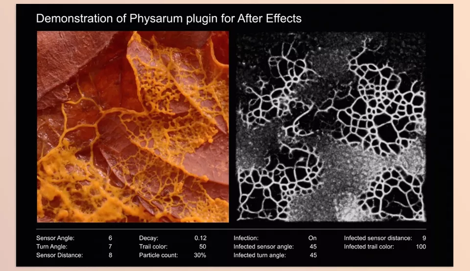 Aescripts - Physarum - Native plugin that simulates organic growth