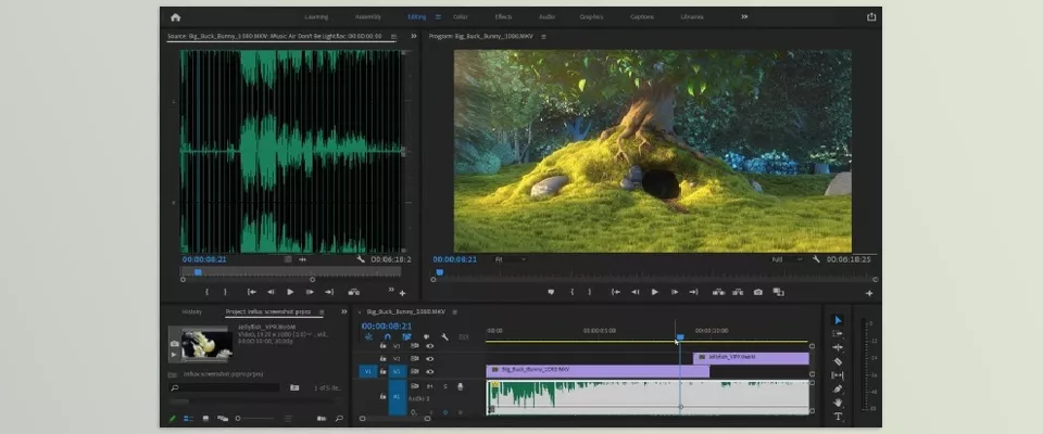 Influx - Preview in Premiere Pro