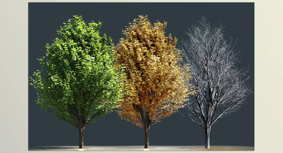 Tree And Grass Library Botaniq - Seasonal deciduous trees!