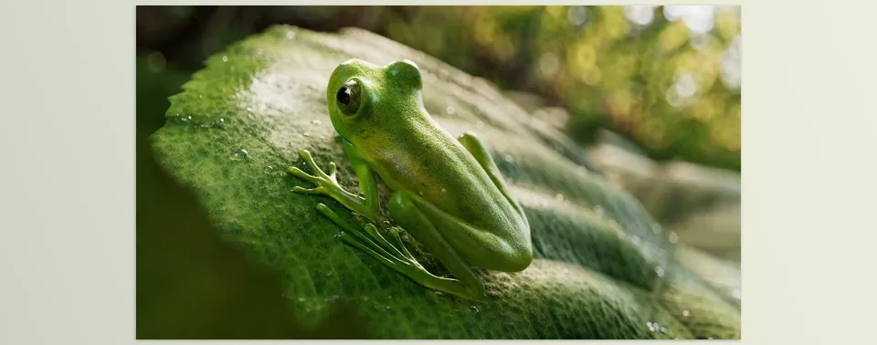 Mudbox - Andean Giant Glass Frog (Espadarana Andina) by Saksham Kumar