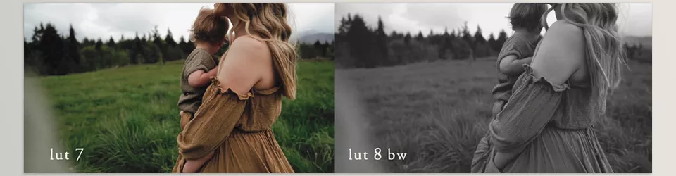 Open Roads LUTS - Includes a collection of 10 LUTs in this pack.