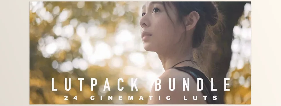 SLOG Lut Pack Bundle - High-quality LUTs that encompass a diverse array of cinematic styles.