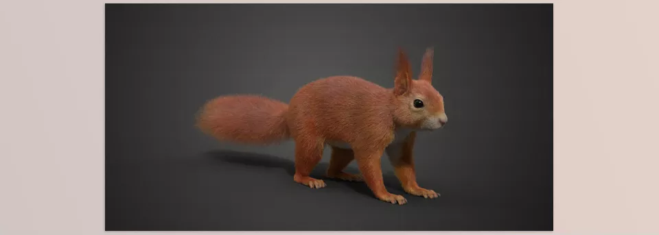 Redsquirrel Summer Animated - The models feature multiple 4K maps, including separate maps for the skin and fur, along with detailed rigging and animations.