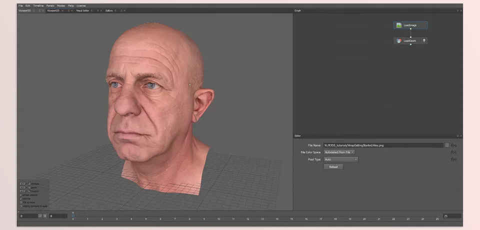 Faceform - Wrap - Streamline workflows for lifelike digital characters and animations.