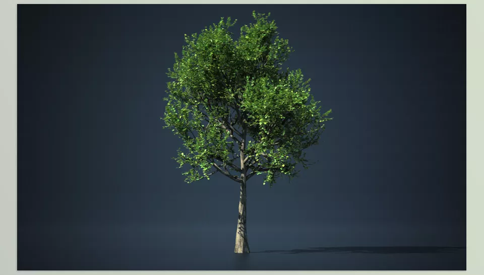 Simple Tree Tools - Intuitive Interface