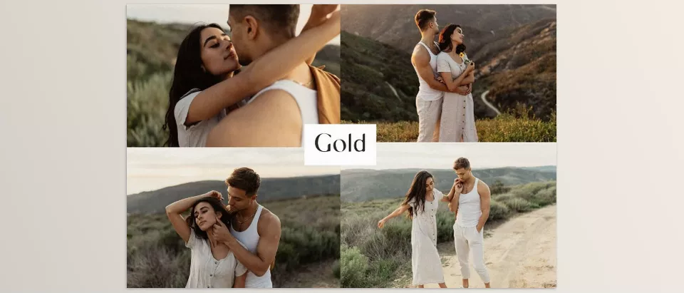 Mark Deleon - The Film Series - Gold Presets