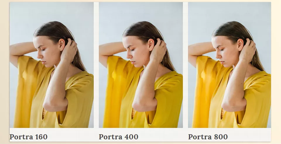 Portra Original Lightroom DP Presets - 3 Film Presets