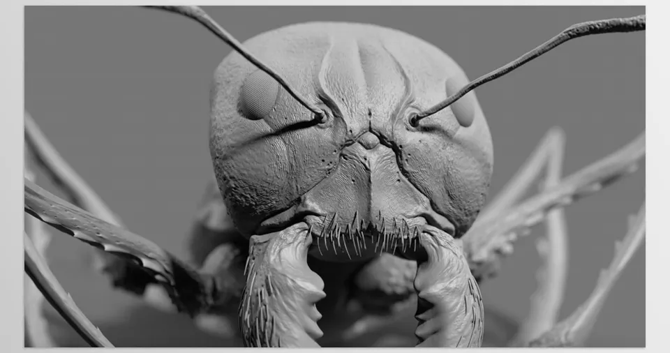 Insect Detailing Brushes for ZBrush - This set of brushes has been designed to simplify the detailing process of adding intricate details and patterns to your meshes.