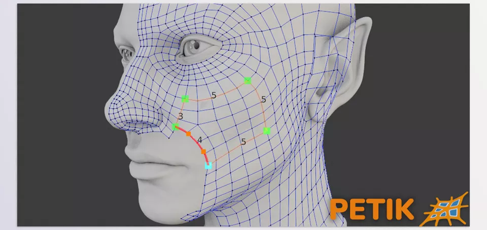 Petik Retopology Patch Maker - To select the active control point, just Ctrl+Right Click the desired point and then Click for a new control point or right-click an existing vertex.