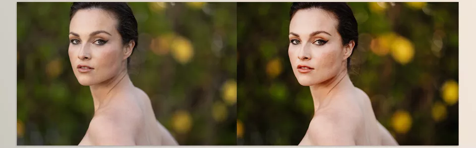 Jason Vinson - Grand Master Series - quickly and beautifully edit any image with 3 different preset.