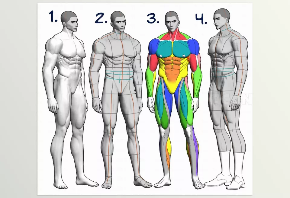 3D Buff Man A2 for CLIP STUDIO PAINT - Each character contains multiple bodies, heads and accessories.