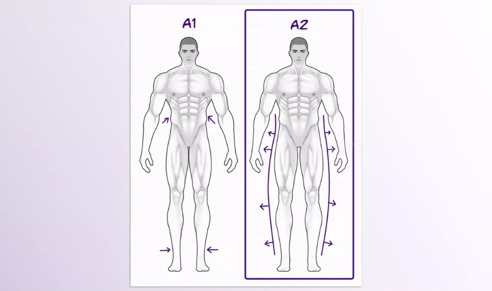 3D Buff Man A2 for CLIP STUDIO PAINT - There are 2 versions of a buff body