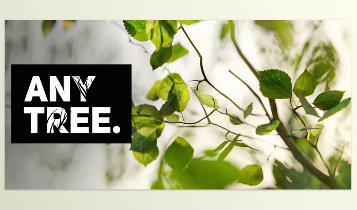 Blender – Anytree Download v2.1.1 (Trees With Any Shape)