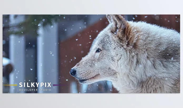 SILKYPIX – Developer Studio Download v12.0.4 (Win, Mac-v11.0.17.0)