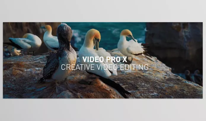 MAGIX – Video Pro X16 Download v22.0.1.255 (Win)