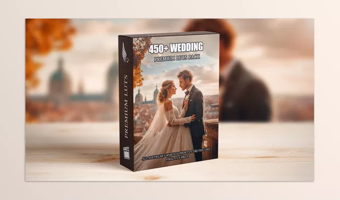 Videohive – Premium Wedding LUTs Mega Bundle Download 50005660 (Over 450 Professional Color Grading LUTs)