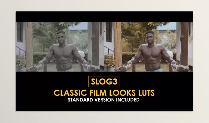 Videohive – Slog3 Classic Film Looks and Standard Color LUTs Download 51047580