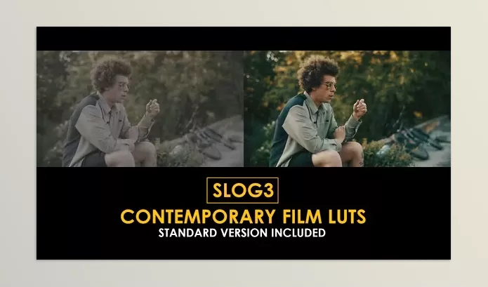 Videohive – Slog3 Contemporary Film and Standard Color LUTs Download 51048036