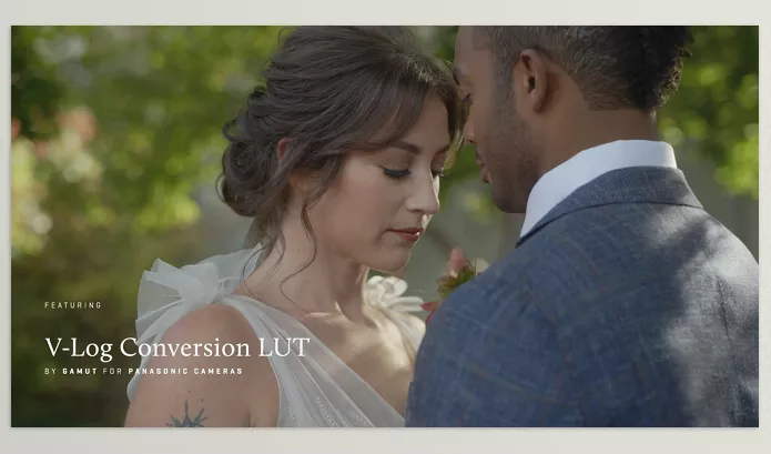 gamut – Panasonic Conversion LUTs for V Log Download