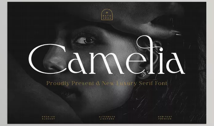 Creative Market – Camelia Elegant Serif Font Download 289453734