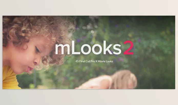 MotionVFX – mlooks2 Download