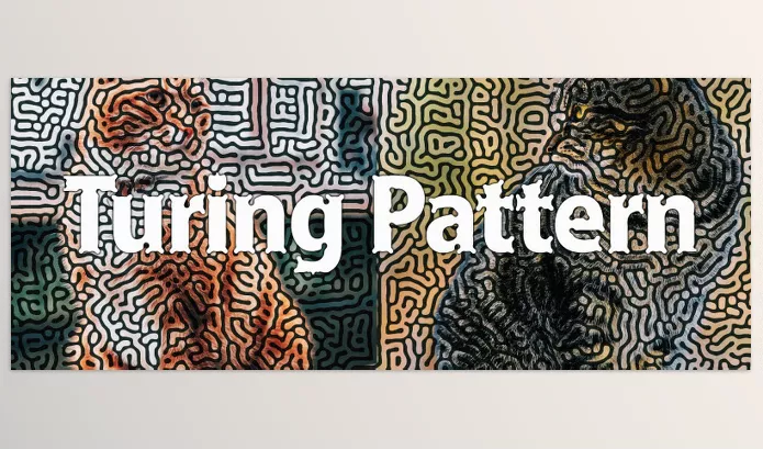 Aescripts – Turing Pattern Download v1.1 (Win)