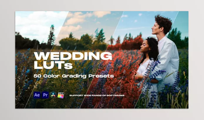 Videohive – Colorify Wedding LUTs Download 35877709