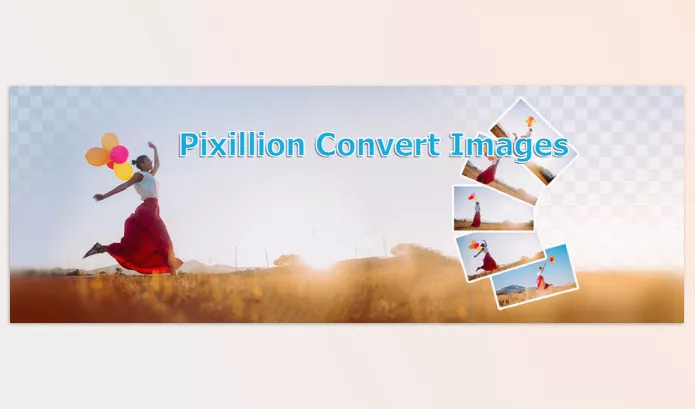 NCH Software – Pixillion Image Converter Plus Download v12.52 (Win)