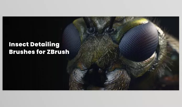 Zbrushguides – Insect Detailing Brushes for ZBrush Download