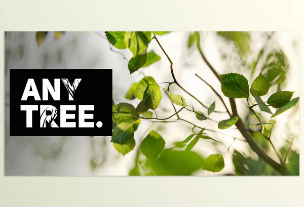 Blender – Anytree Download v2.1.1 (Trees With Any Shape)