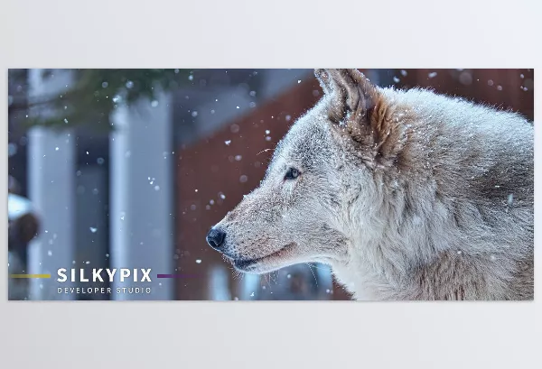 SILKYPIX – Developer Studio Download v12.0.4 (Win, Mac-v11.0.17.0)