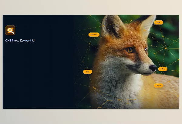 ON1 – Photo Keyword AI 2023.5 Download v17.5.1.14058 (Win, Mac-v17.5.1.14079)