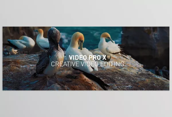 MAGIX – Video Pro X16 Download v22.0.1.255 (Win)