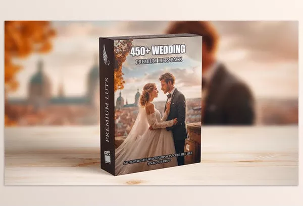 Videohive – Premium Wedding LUTs Mega Bundle Download 50005660 (Over 450 Professional Color Grading LUTs)