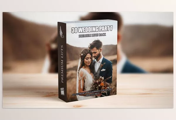 Videohive – Revolutionize Your Wedding Videos Download 0085929 (Top 30 Cinematic LUTs for Professional Videographers)