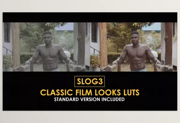 Videohive – Slog3 Classic Film Looks and Standard Color LUTs Download 51047580