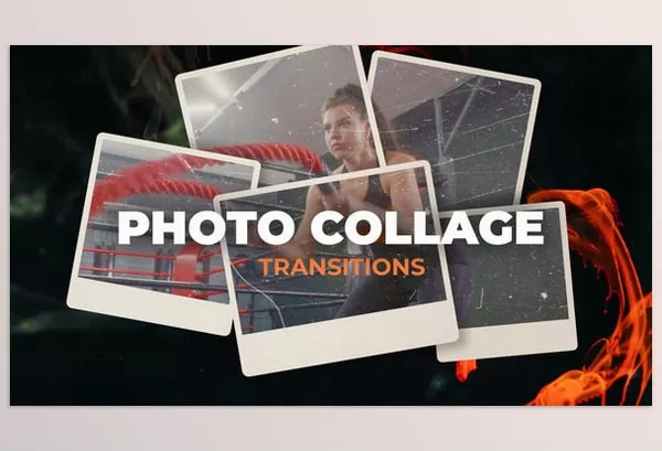 Videohive – Photo Collage Transitions Download 54243613