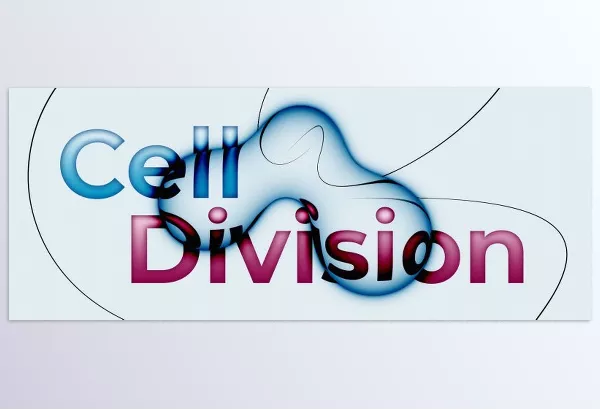 Aescripts – Cell Division Download v1.3