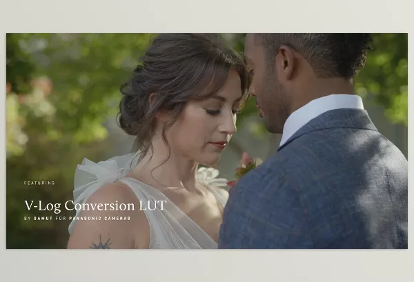 gamut – Panasonic Conversion LUTs for V Log Download