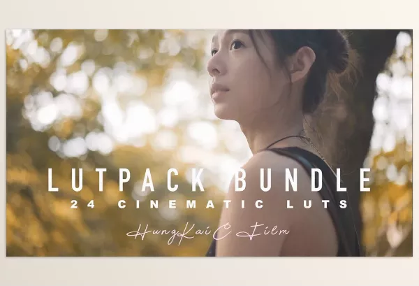 Etsy – SLOG Lut Pack Bundle Download (ALL 24 cinematic LUTs)