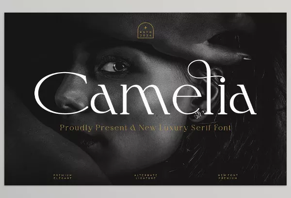 Creative Market – Camelia Elegant Serif Font Download 289453734