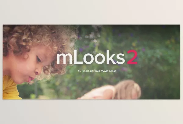 MotionVFX – mlooks2 Download