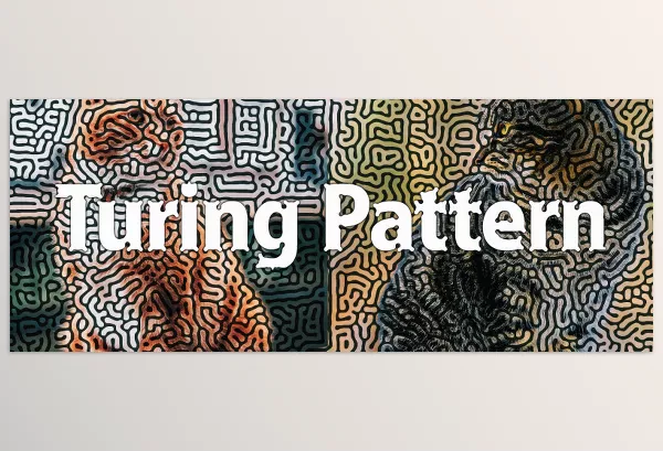 Aescripts – Turing Pattern Download v1.1 (Win)