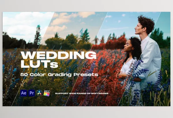 Videohive – Colorify Wedding LUTs Download 35877709