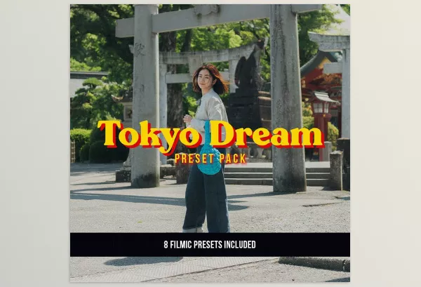 VG Studios – Tokyo Dream Preset Pack Download