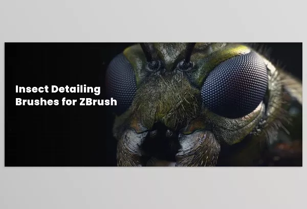 Zbrushguides – Insect Detailing Brushes for ZBrush Download